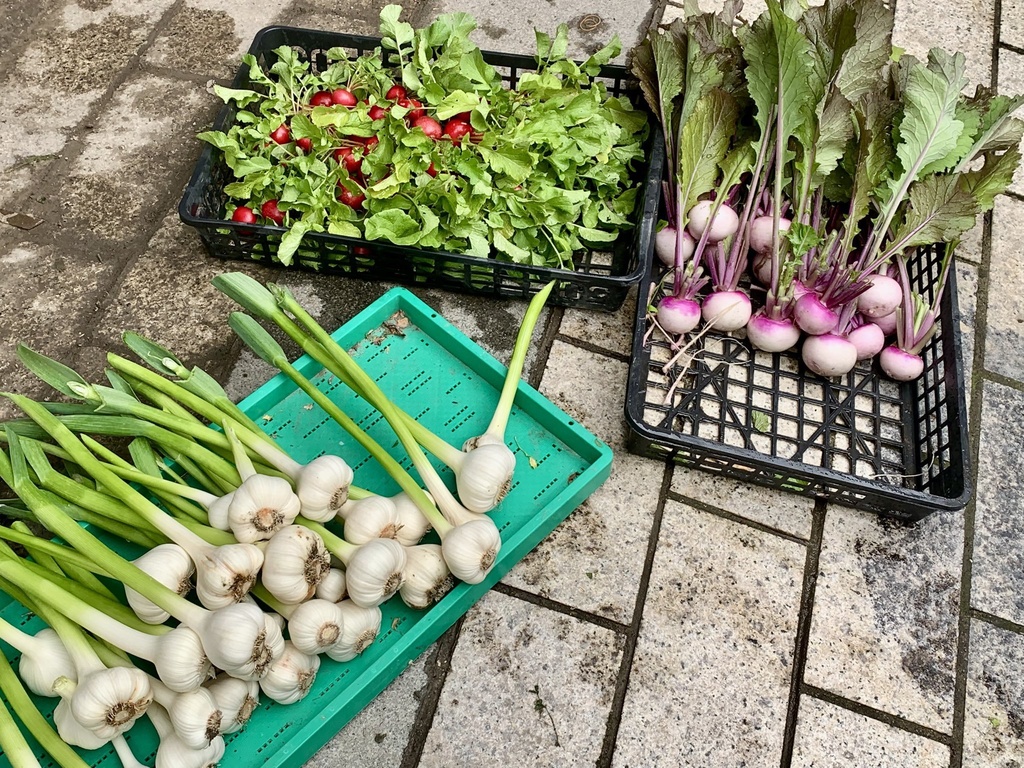 秘封ブルワリーダイアリー3と旬のお野菜のセット