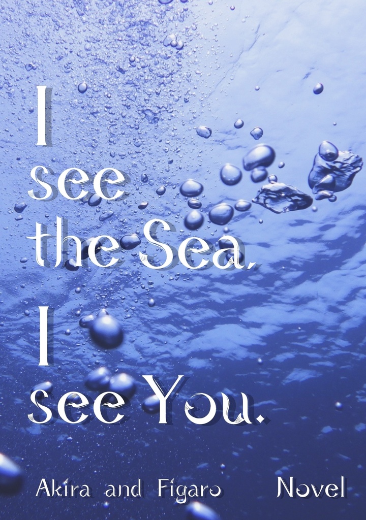【晶フィ晶】I see the Sea, I see You.【左右不定】