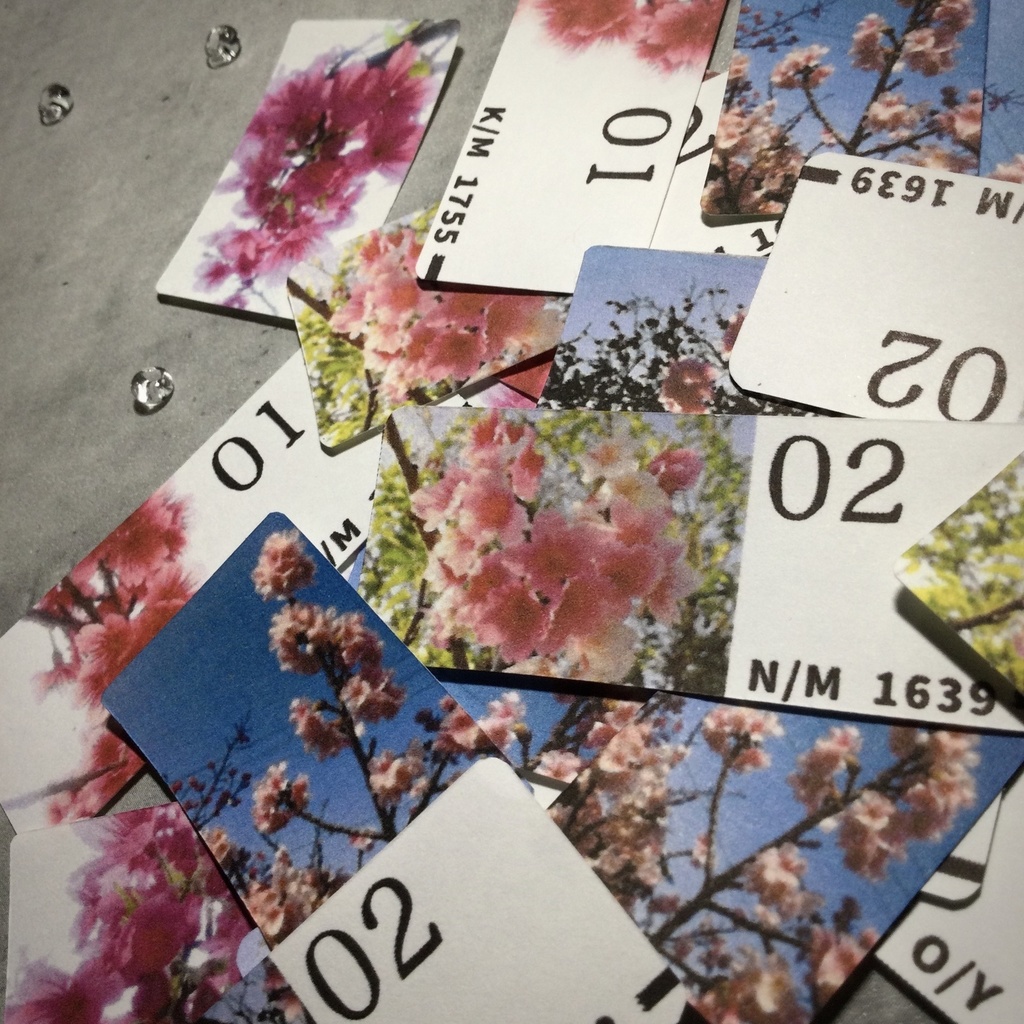 フレークシール 桜