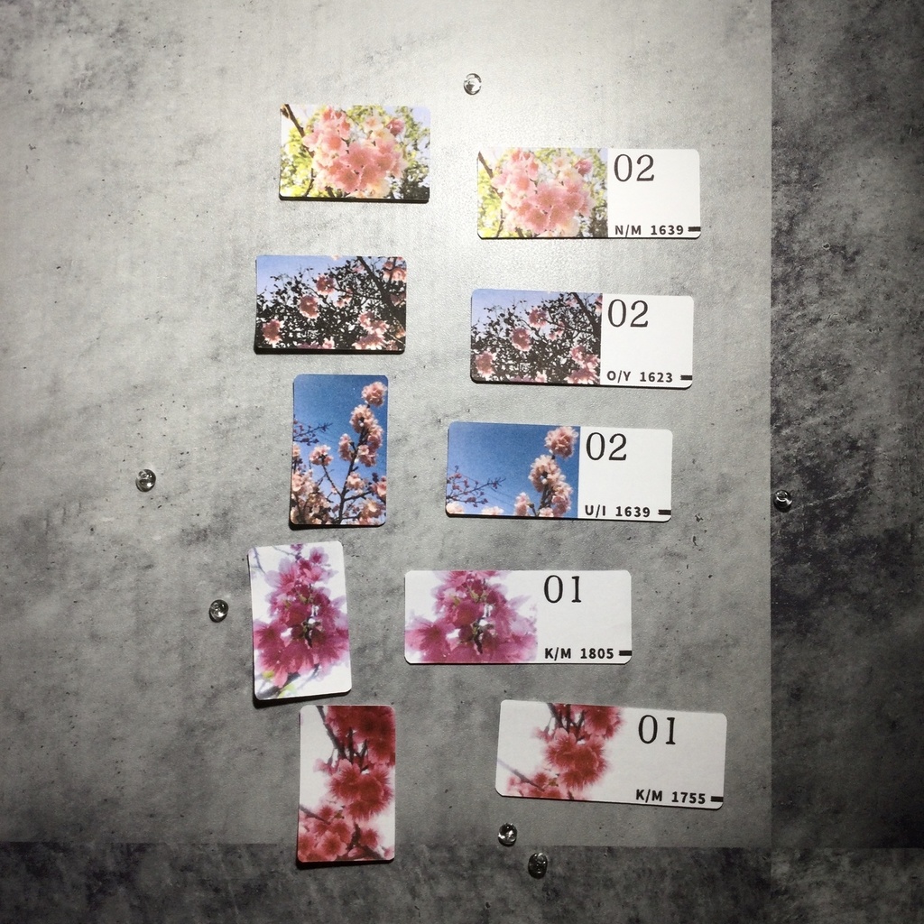 フレークシール 桜