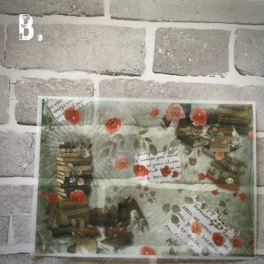 デザインペーパー FLOWER GARDEN READING CLUB