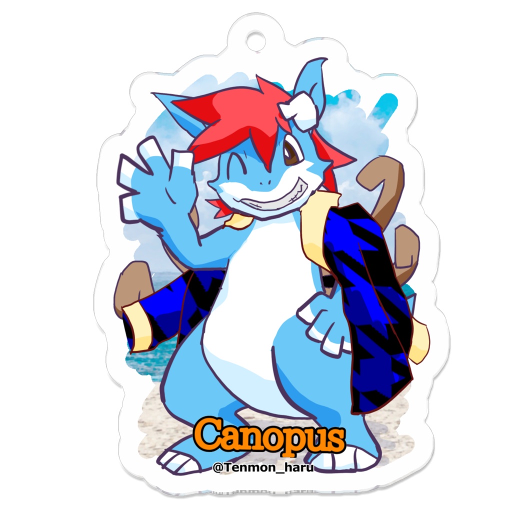 てんモンアクキー02Canopus