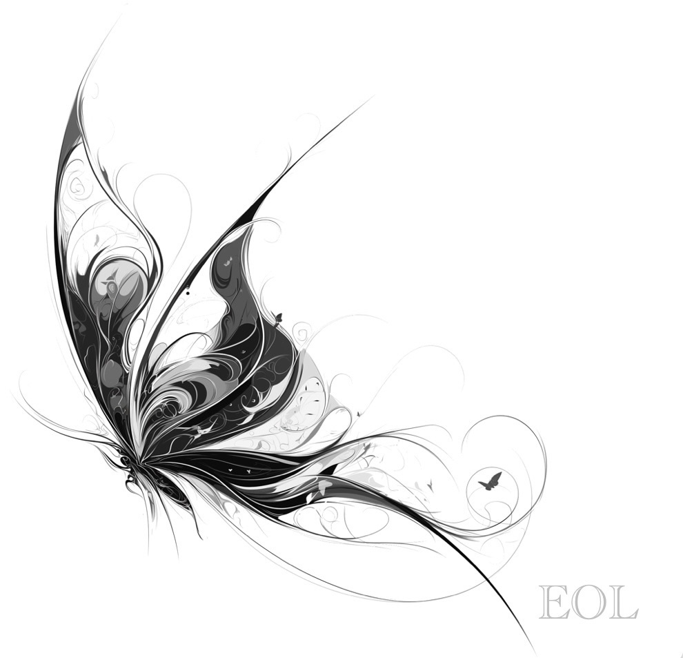 Midnight Butterfly|Echo of Light – Ornamental Tattoo