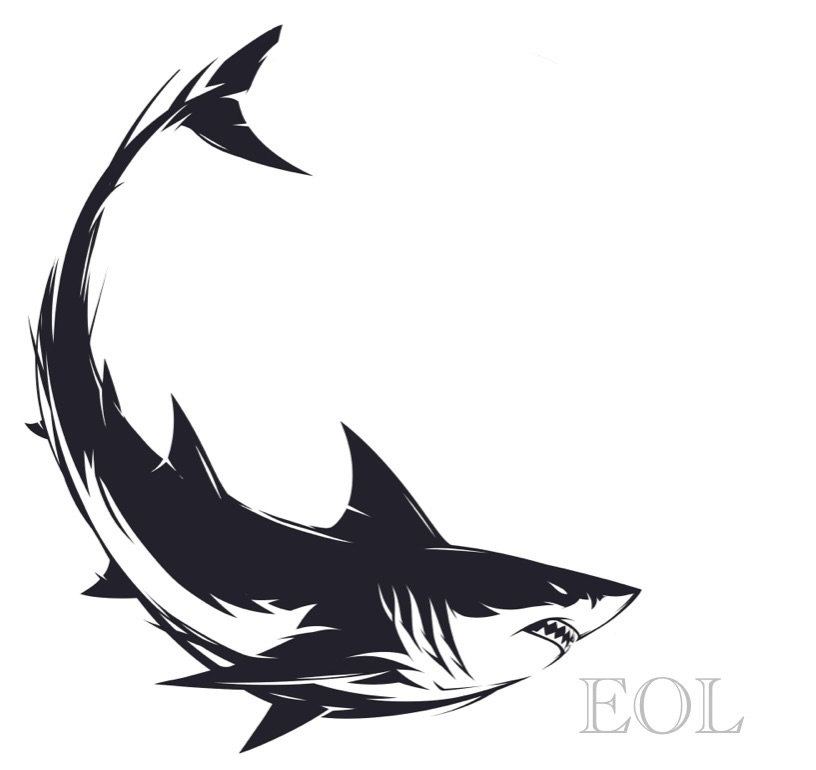 Echo of Light  – Shark Series