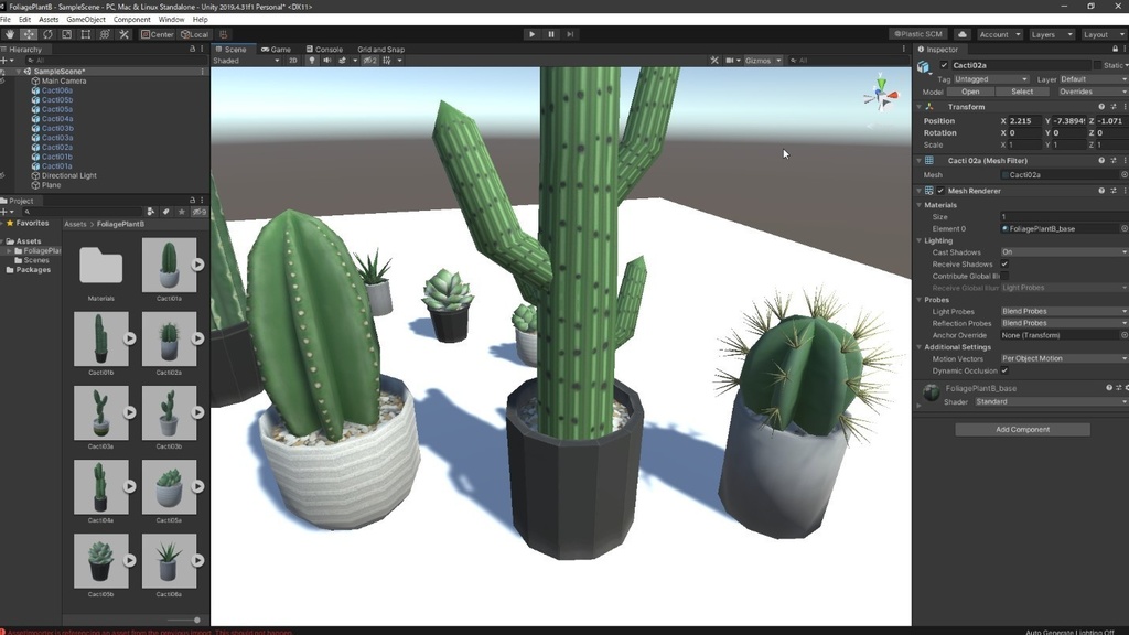 観葉植物(サボテン)