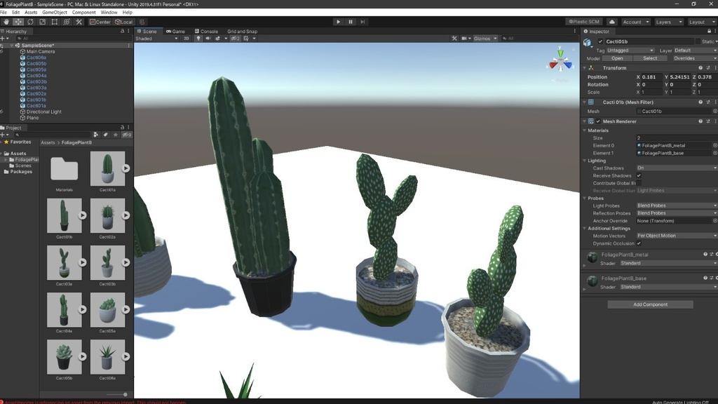 観葉植物(サボテン)