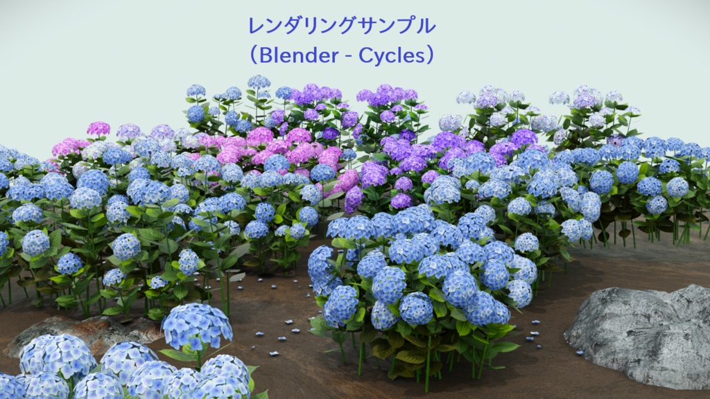 あじさい(紫陽花)