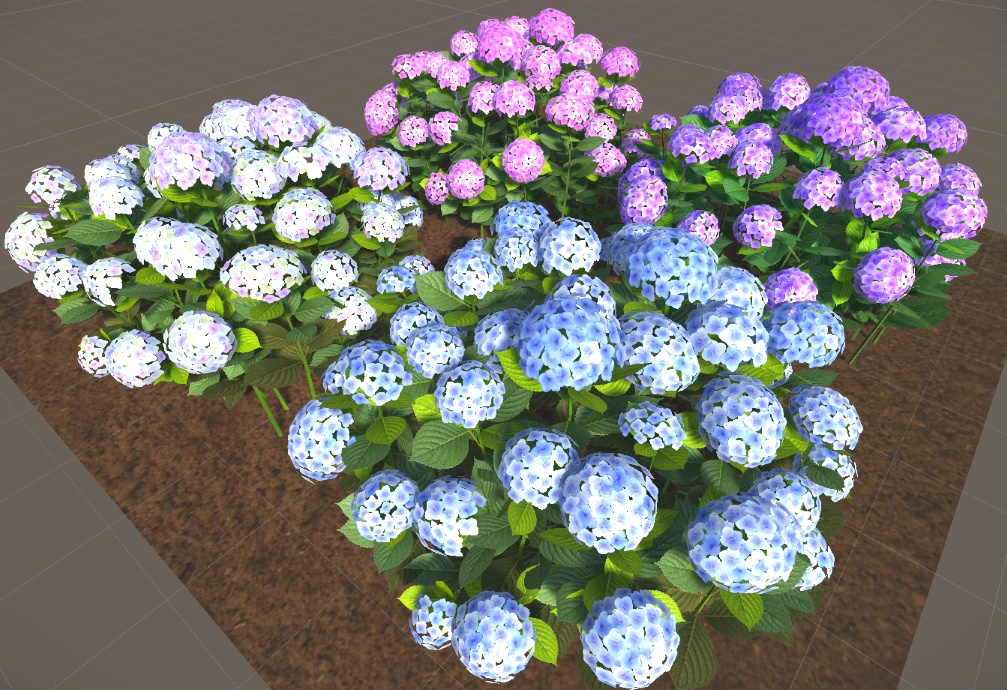 あじさい(紫陽花)