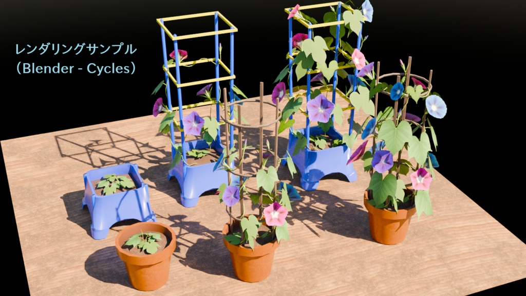 あさがお(朝顔)