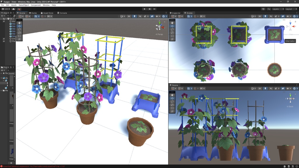 あさがお(朝顔)