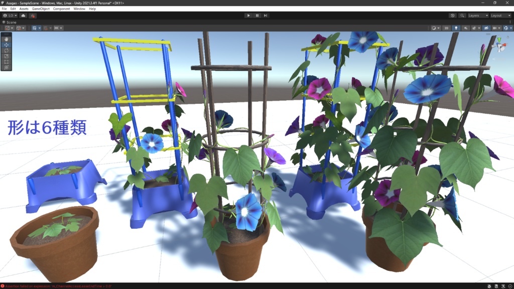 あさがお(朝顔)