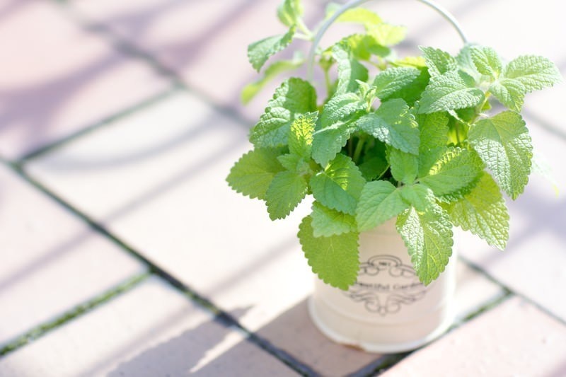 月明かりの星とAIとの対話録