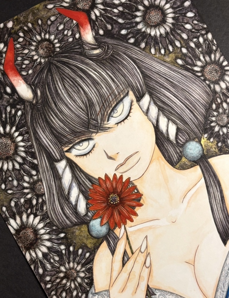 花鬼/Osteospermum