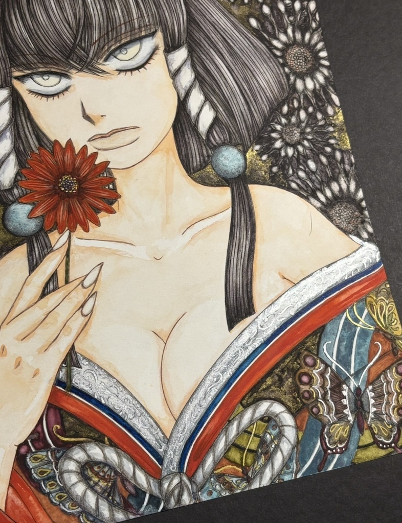 花鬼/Osteospermum