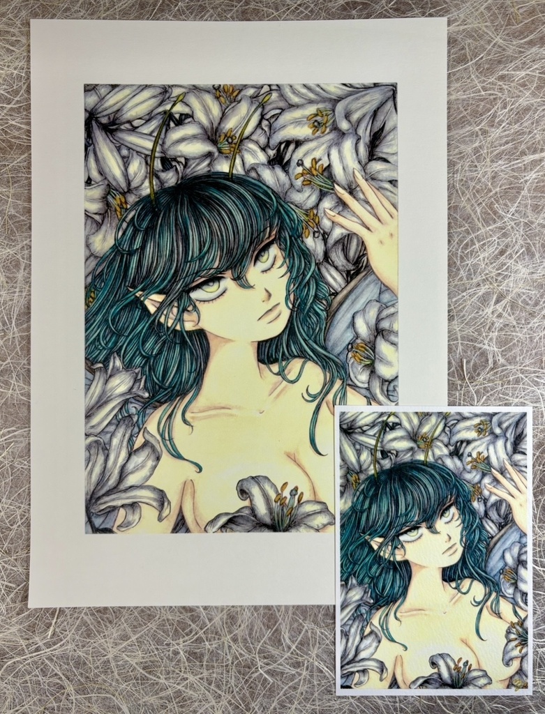  マドンナ・リリー/Madonna lily （複製画）A4弱+ポストカードセット