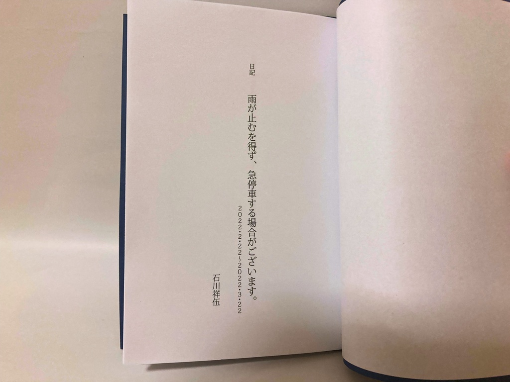 日記 雨が止むを得ず、急停車する場合がございます。