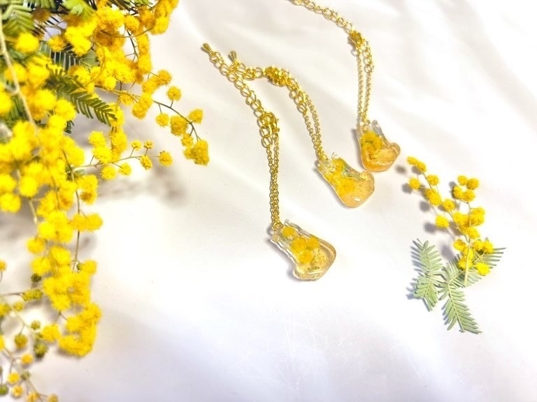 Newミモザポシェット💛🌿.∘