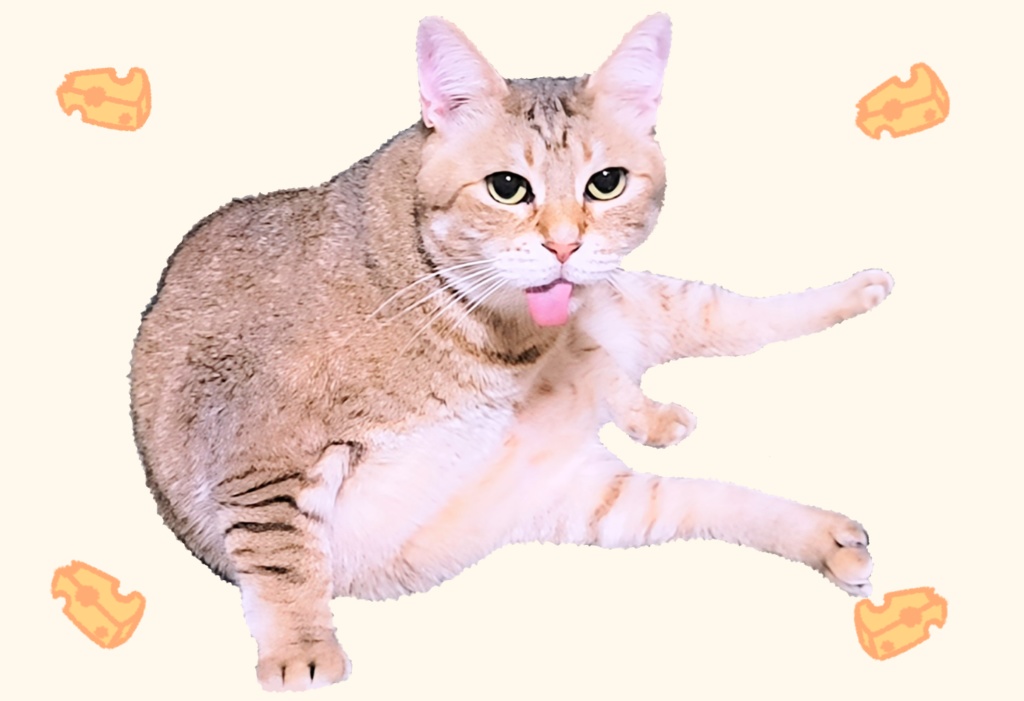 とろけるちーずのパスケース