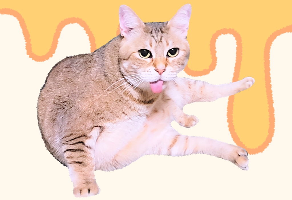 とろけるちーずのパスケース