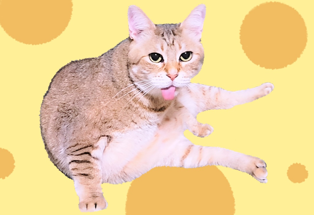 とろけるちーずのパスケース