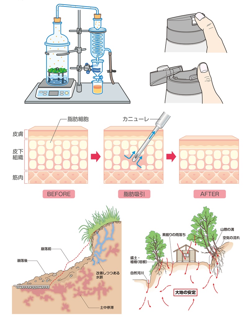 教材・医療・美容系イラスト作成