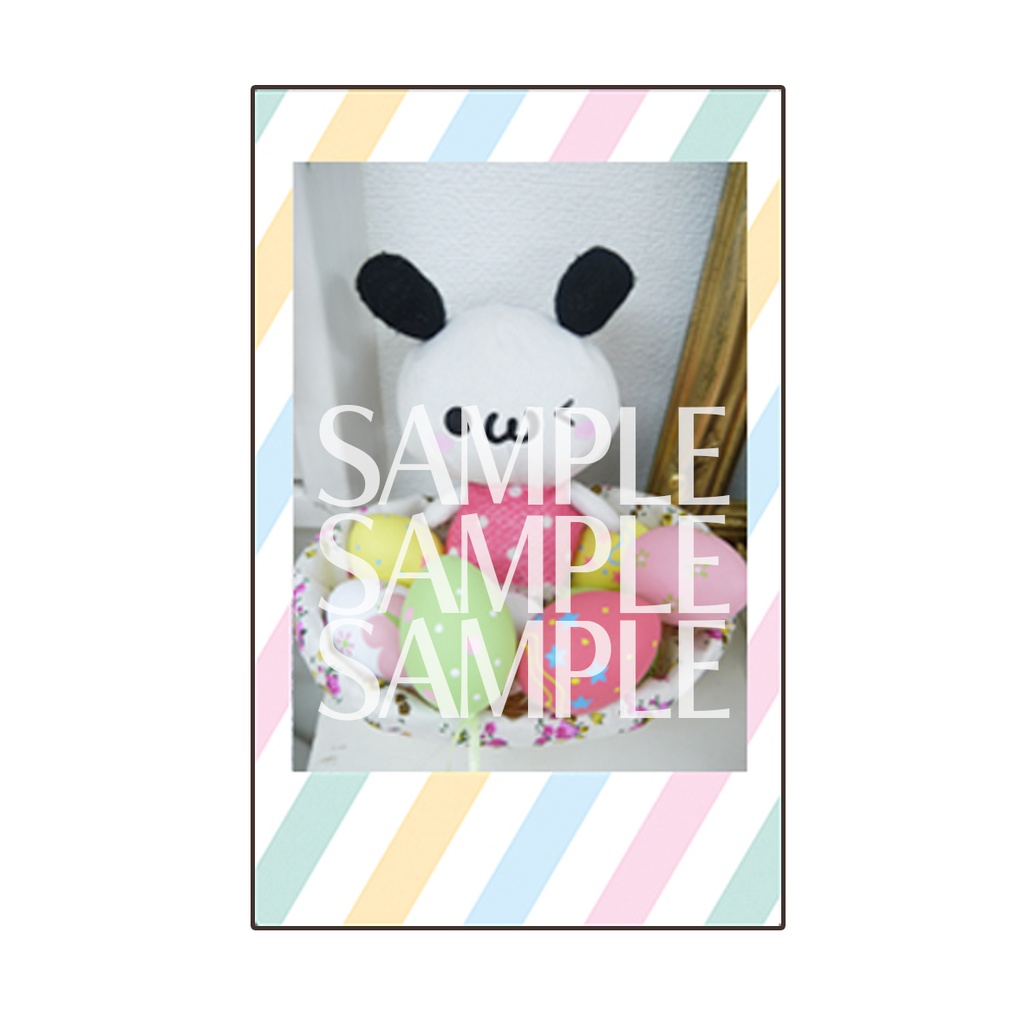 うさぎの”しろちゃん”チェキ！