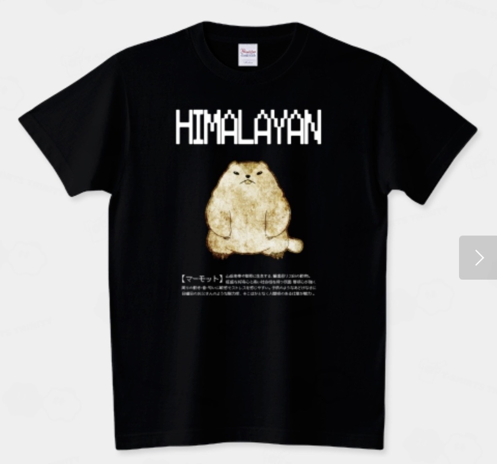 【NEW】Tシャツ《Aboutマーモット》