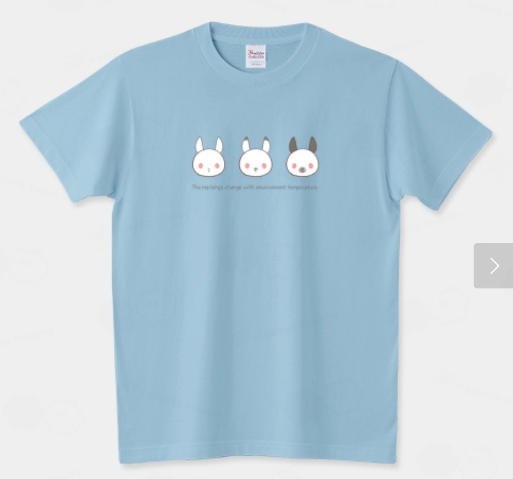 Tシャツ《うさぎ》