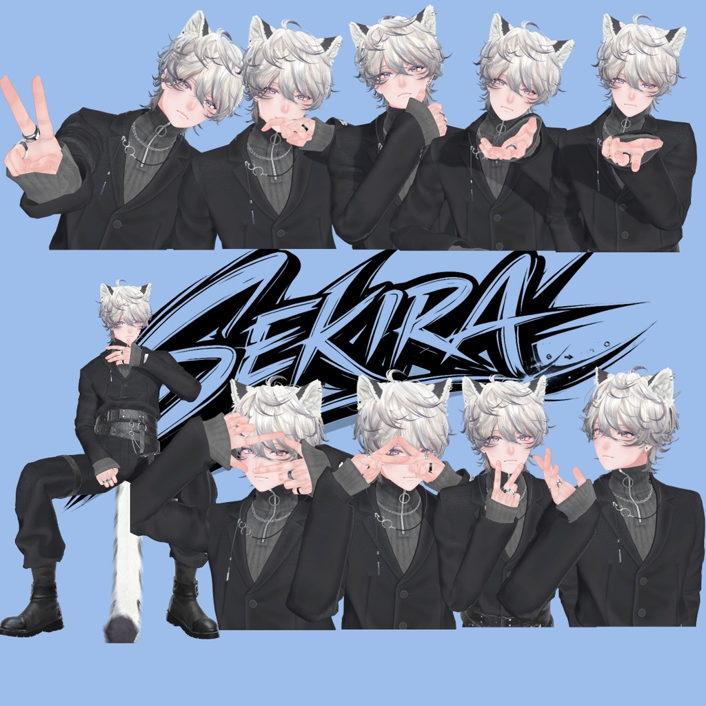 斑霞-NOIR MOTION-|40Pose Collection