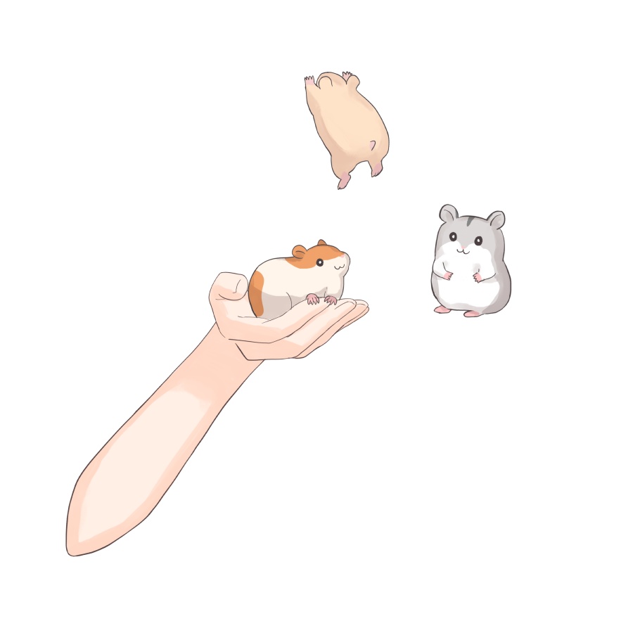 手乗りハムスター🐹