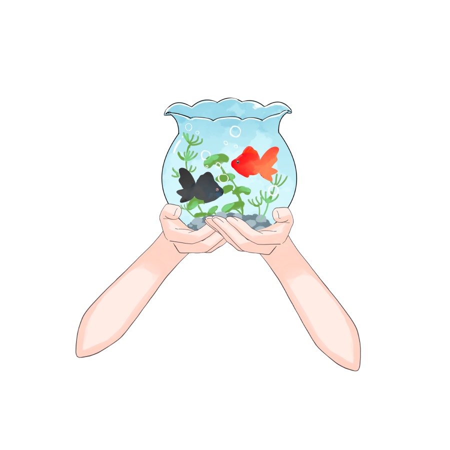 金魚鉢素材🐠