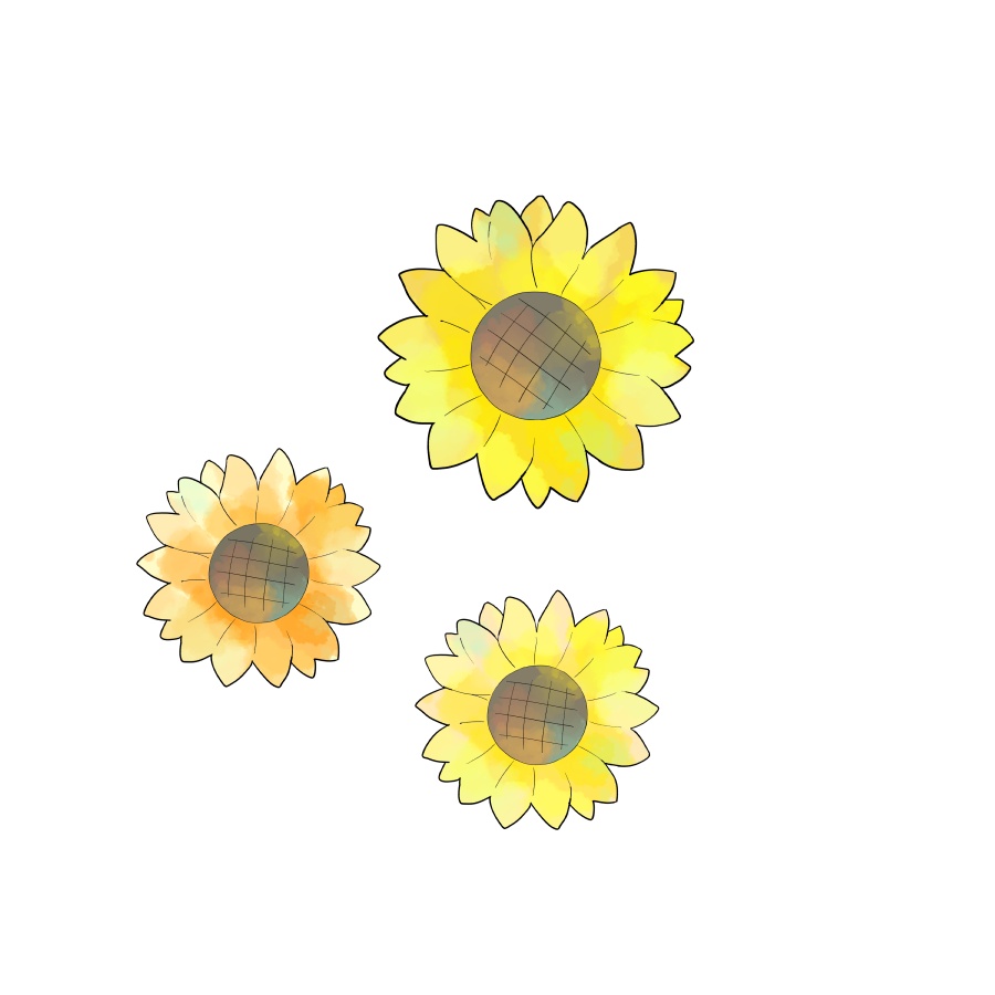ひまわり素材🌻