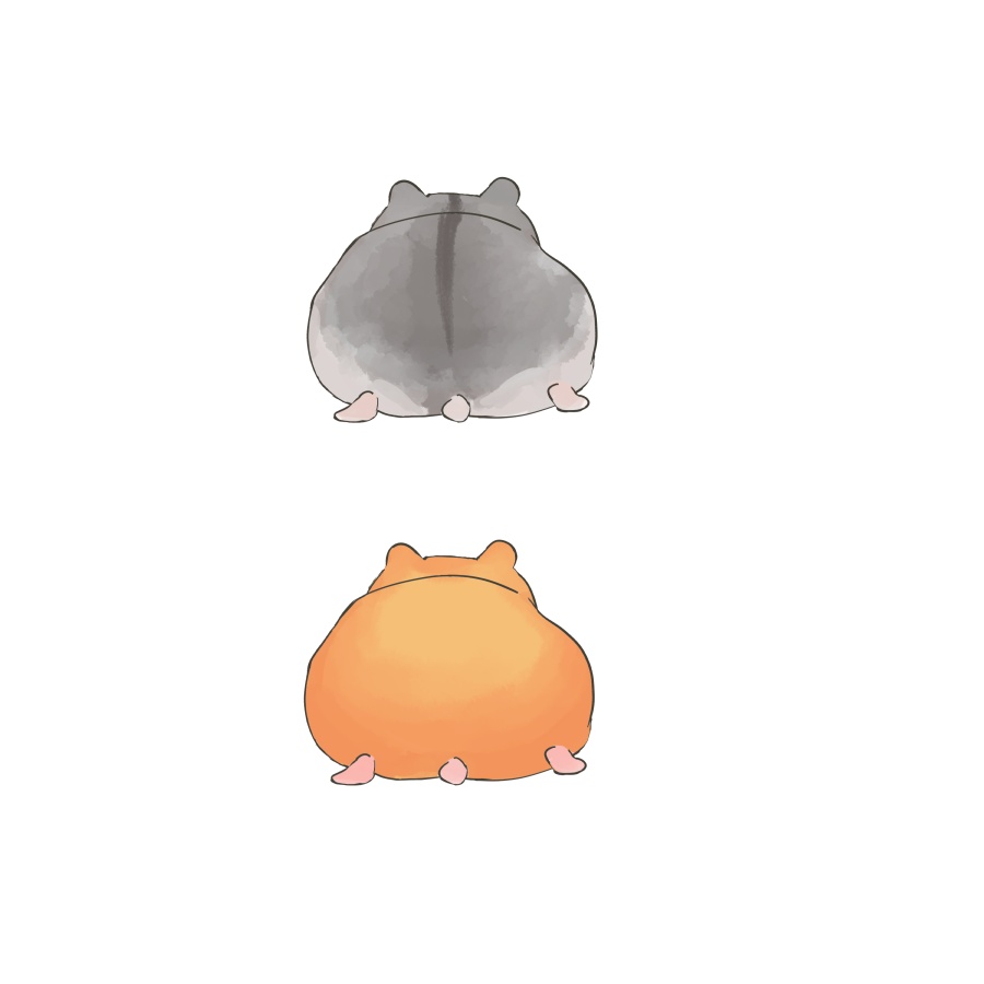 ハムけつ素材🐹