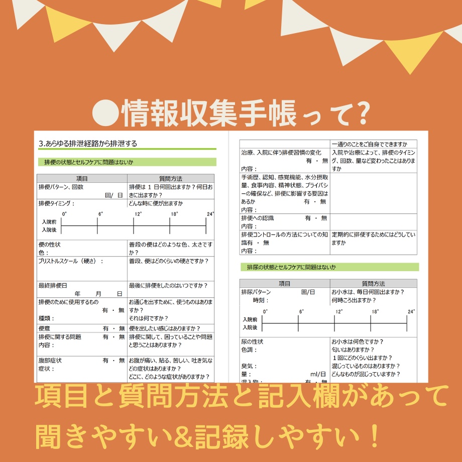 【不安解消!】パッと書ける!★ゴードン★アセスメント手帳