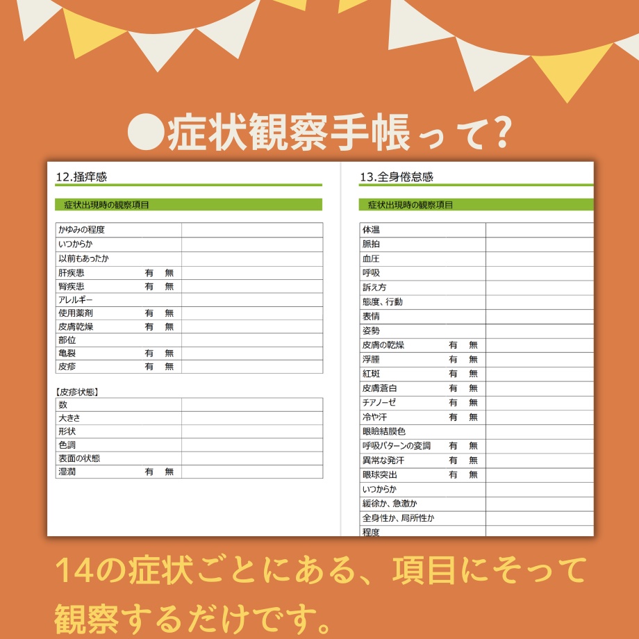 サクサク♪看護【実習スキル】パック