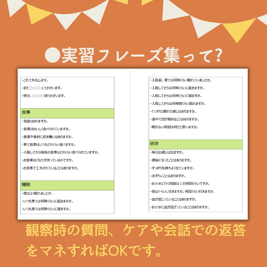 サクサク♪看護【実習スキル】パック