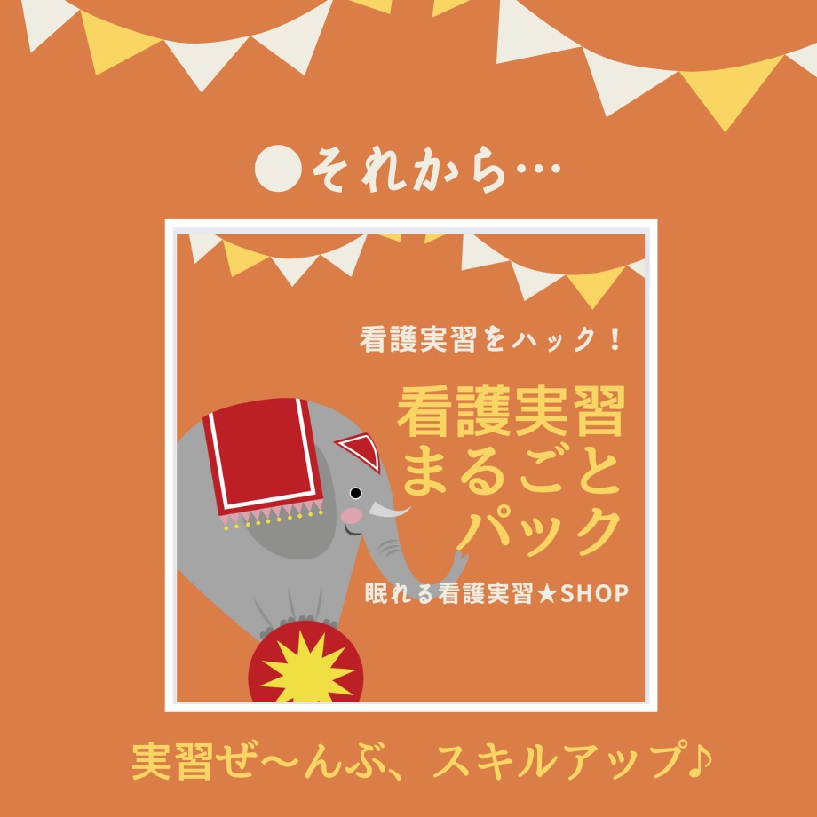 サクサク♪看護【実習スキル】パック