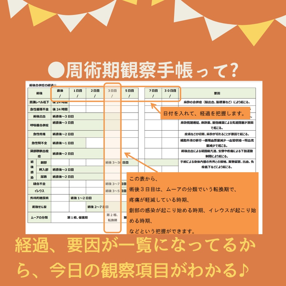 すらすら♪看護【実習記録】パック