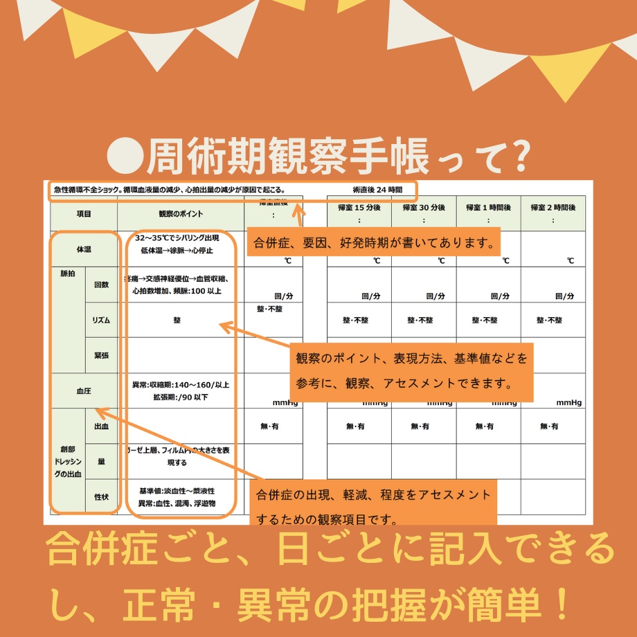 すらすら♪看護【実習記録】パック