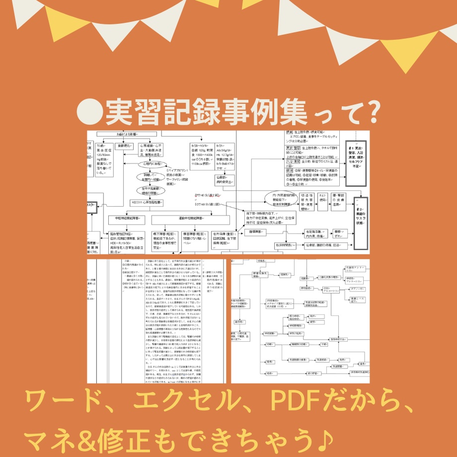 すらすら♪看護【実習記録】パック