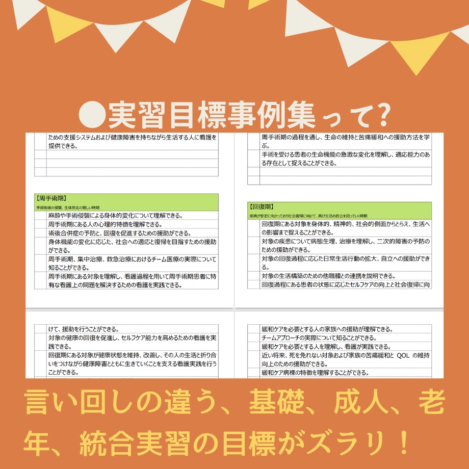 すらすら♪看護【実習記録】パック