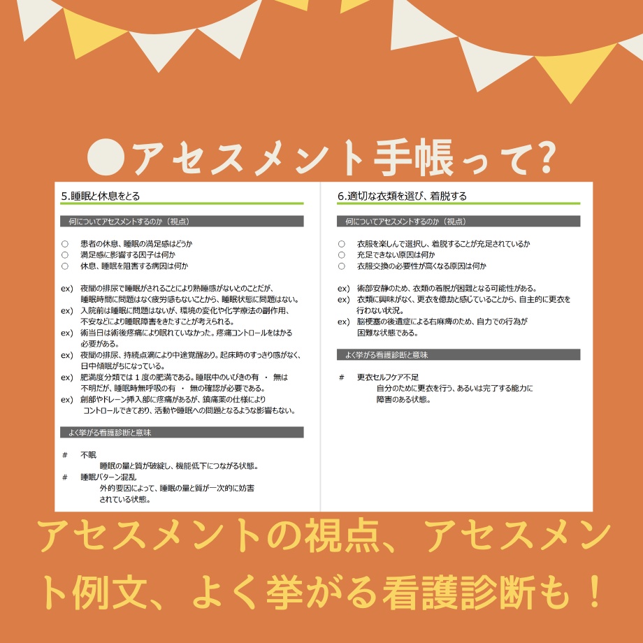 すらすら♪看護【実習記録】パック