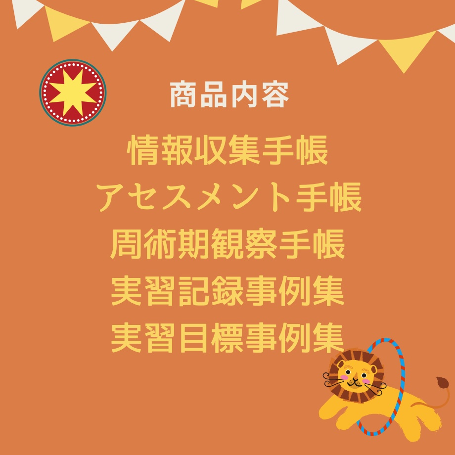 すらすら♪看護【実習記録】パック