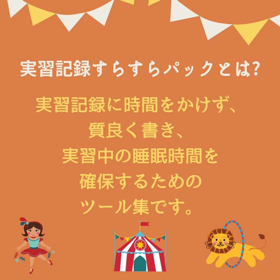 すらすら♪看護【実習記録】パック