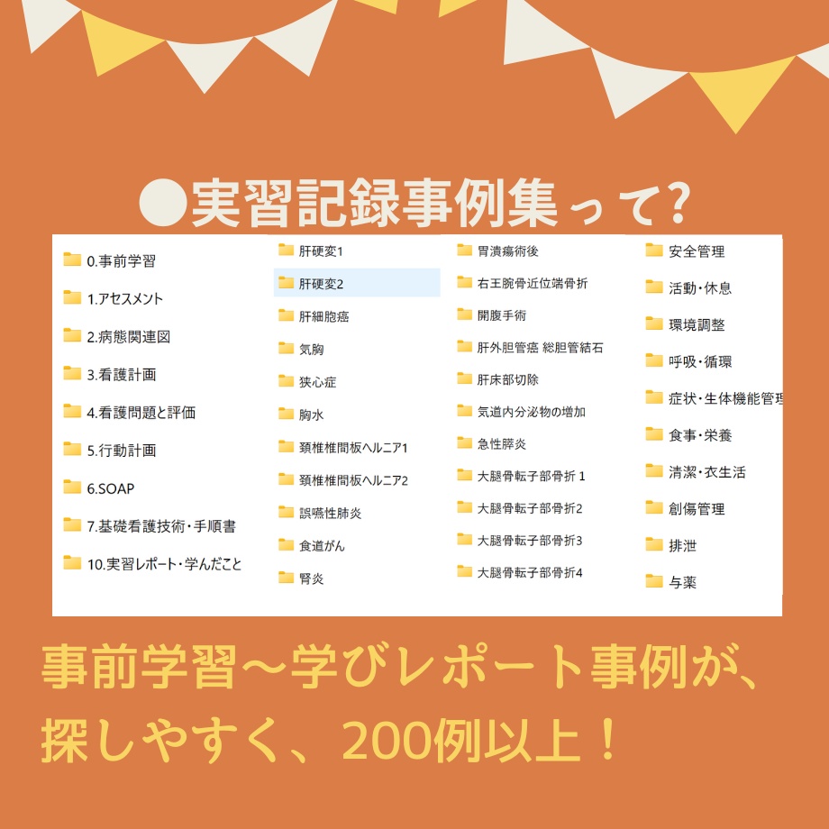 すらすら♪看護【実習記録】パック