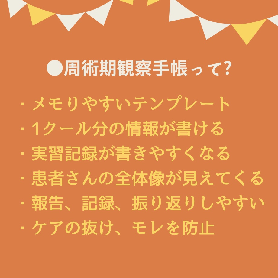 超絶安心!看護実習【まるごと】パック