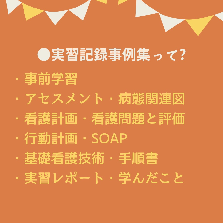 超絶安心!看護実習【まるごと】パック