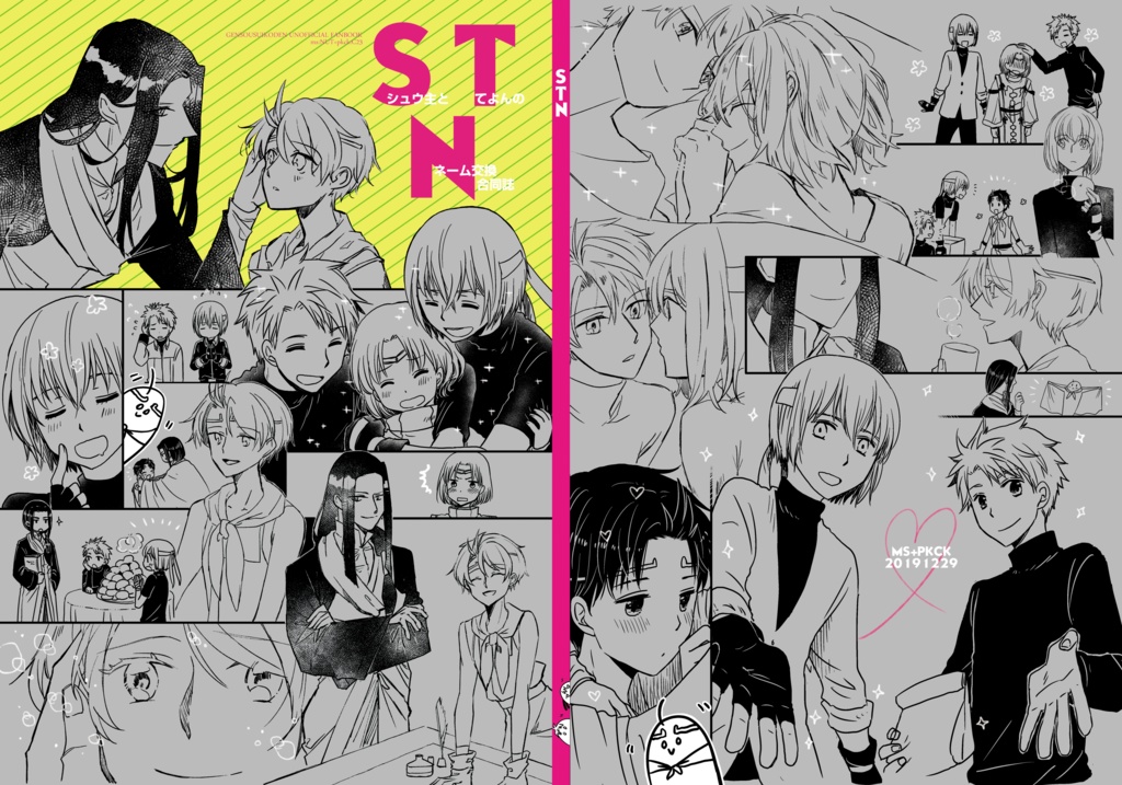 ＳＴＮ