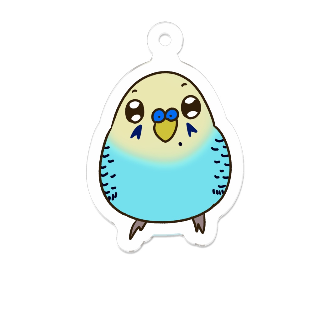 セキセイインコ青