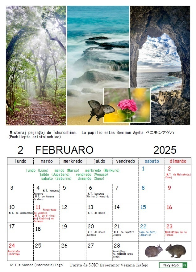 Esperanta Kalendaro 2025 エスペラント・カレンダー2025